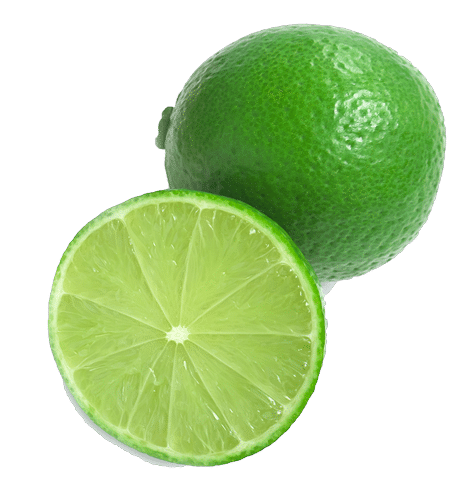 Citron vert Copier