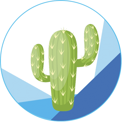 favicon cactus 502x503